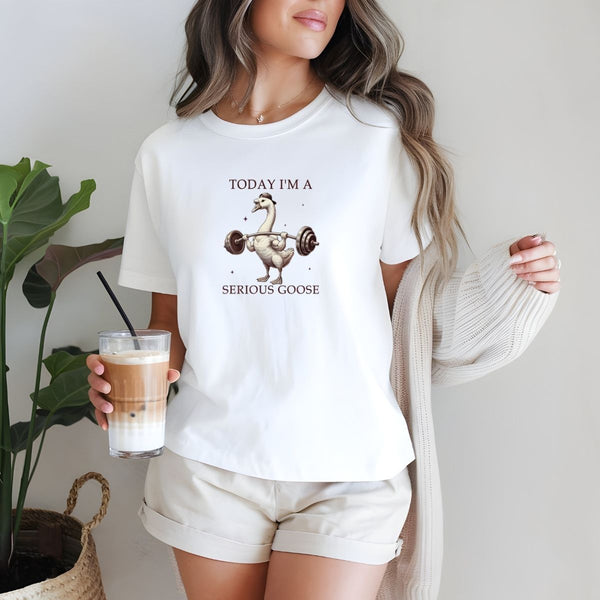 Today I'm A Serious Goose