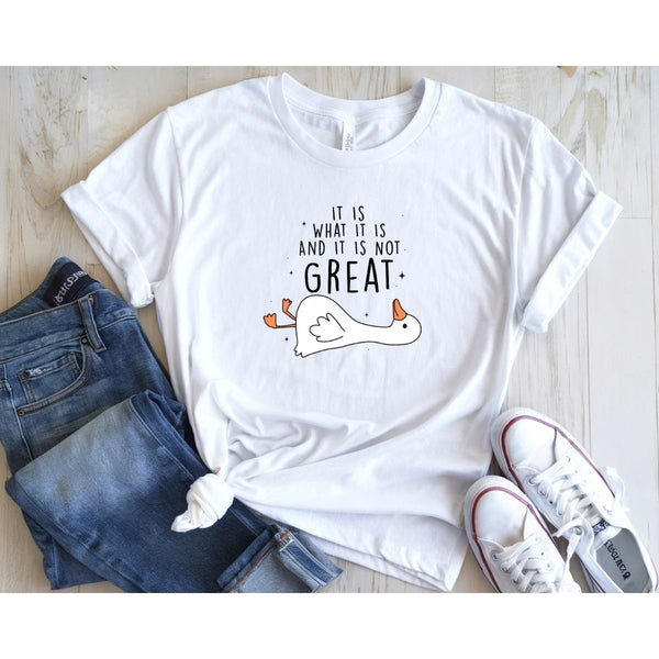 It Is What It Is And It Is Not Great