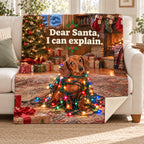 Dear Santa, I can explain. blanket, on a sofa