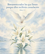 Bienaventurados los que lloran:
porque ellos recibirán consolación blanket, full design