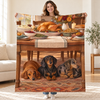 Three Dachshunds blanket, held open